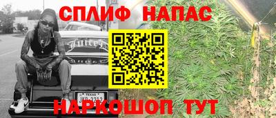 гидропоника Кингисепп