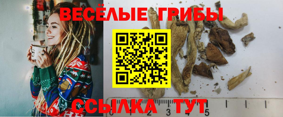 Галлюциногенные грибы прущие грибы Аксай